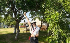 中国梦想秀第4季